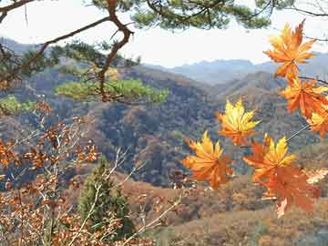 國產(chǎn)av無碼專區(qū)亞洲av毛片搜,高效路徑方案優(yōu)化_超越版19.63.08