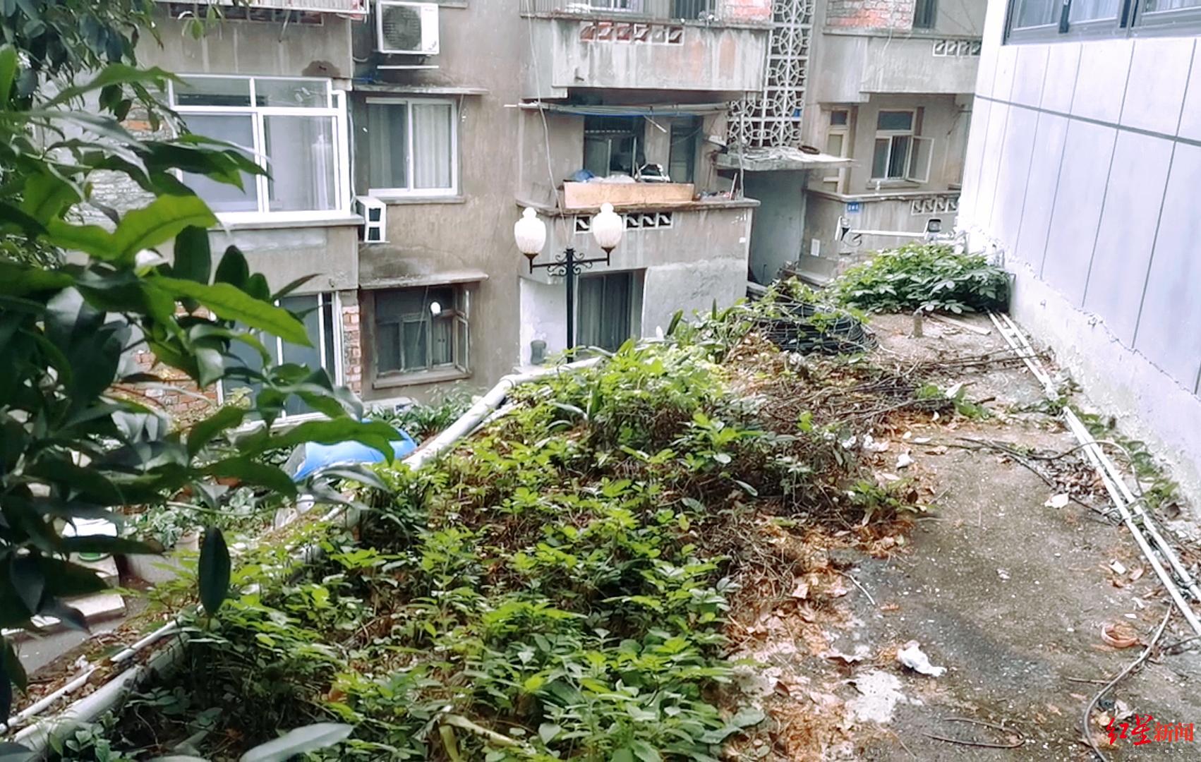 男教師指認猥褻現(xiàn)場墜亡事件，反思與警示