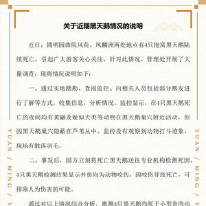 圓明園回應(yīng)四只黑天鵝死亡事件，生態(tài)保護(hù)的反思與啟示意義