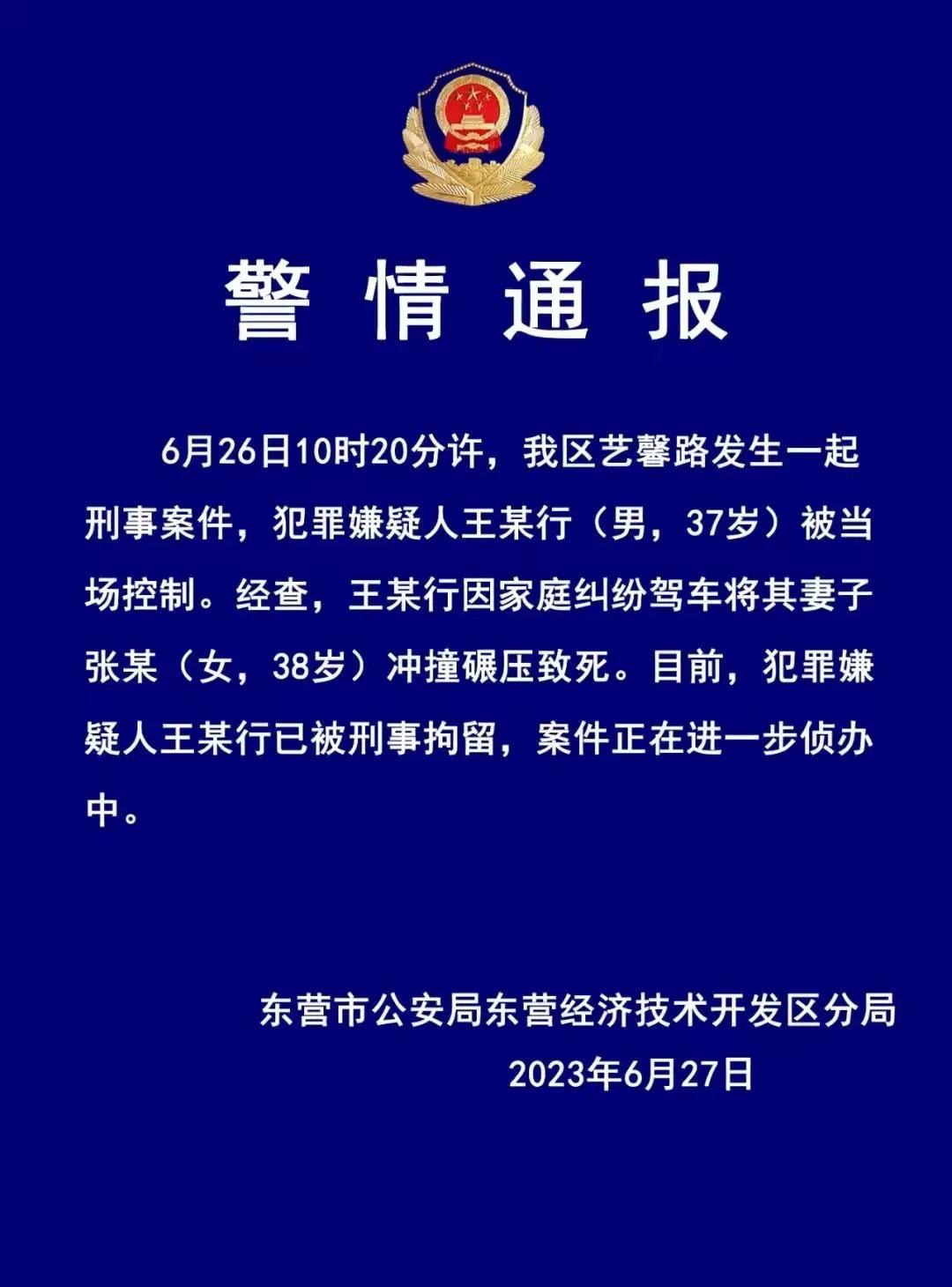 家庭暴力悲劇，男子家暴致妻子死亡，引發(fā)深刻反思