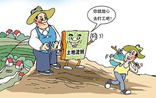 農(nóng)村土地流轉(zhuǎn)市場活躍助力農(nóng)業(yè)現(xiàn)代化與鄉(xiāng)村振興齊頭并進
