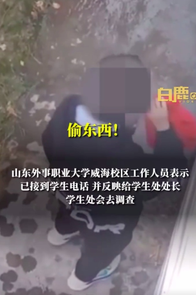 學?；貞閭H樓梯不雅行為，倡導文明交往，共建和諧校園新風尚