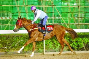2024澳門特馬今晚開(kāi)獎(jiǎng)138期,實(shí)踐調(diào)查解析說(shuō)明_8DM98.768