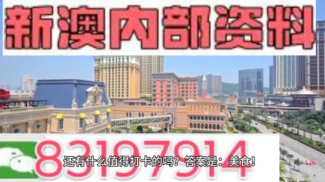 新澳門正版免費(fèi)大全,持續(xù)解析方案_游戲版69.802