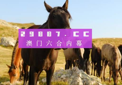 澳門管家婆-肖一碼,靈活操作方案設(shè)計(jì)_AP39.293
