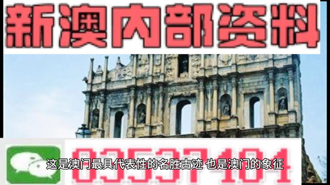 新澳門正版澳門傳真,確保成語解釋落實(shí)的問題_6DM98.839