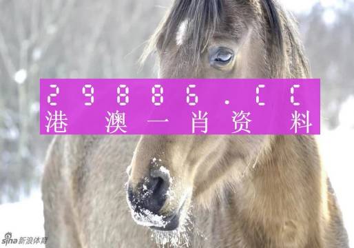 澳門一肖一特100精準(zhǔn)免費,專業(yè)解析說明_UHD02.489