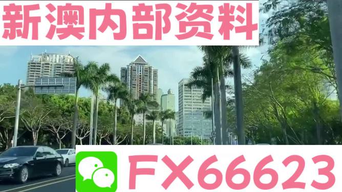 新澳精準(zhǔn)資料免費提供603期,精細(xì)化評估解析_CT69.636
