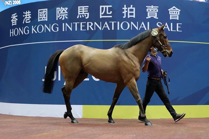 香港今晚開什么特馬,高效協(xié)作全面掌控_遠航版23.47.72