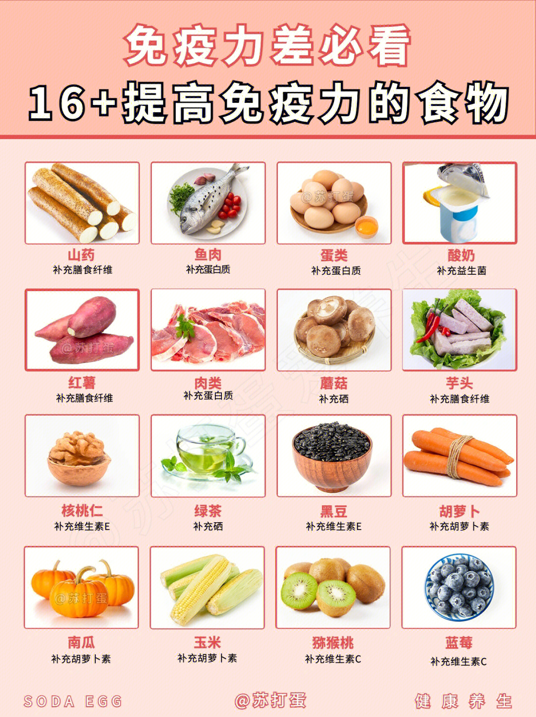增強(qiáng)免疫力食材指南，常見食材搭配法助你免疫力提升
