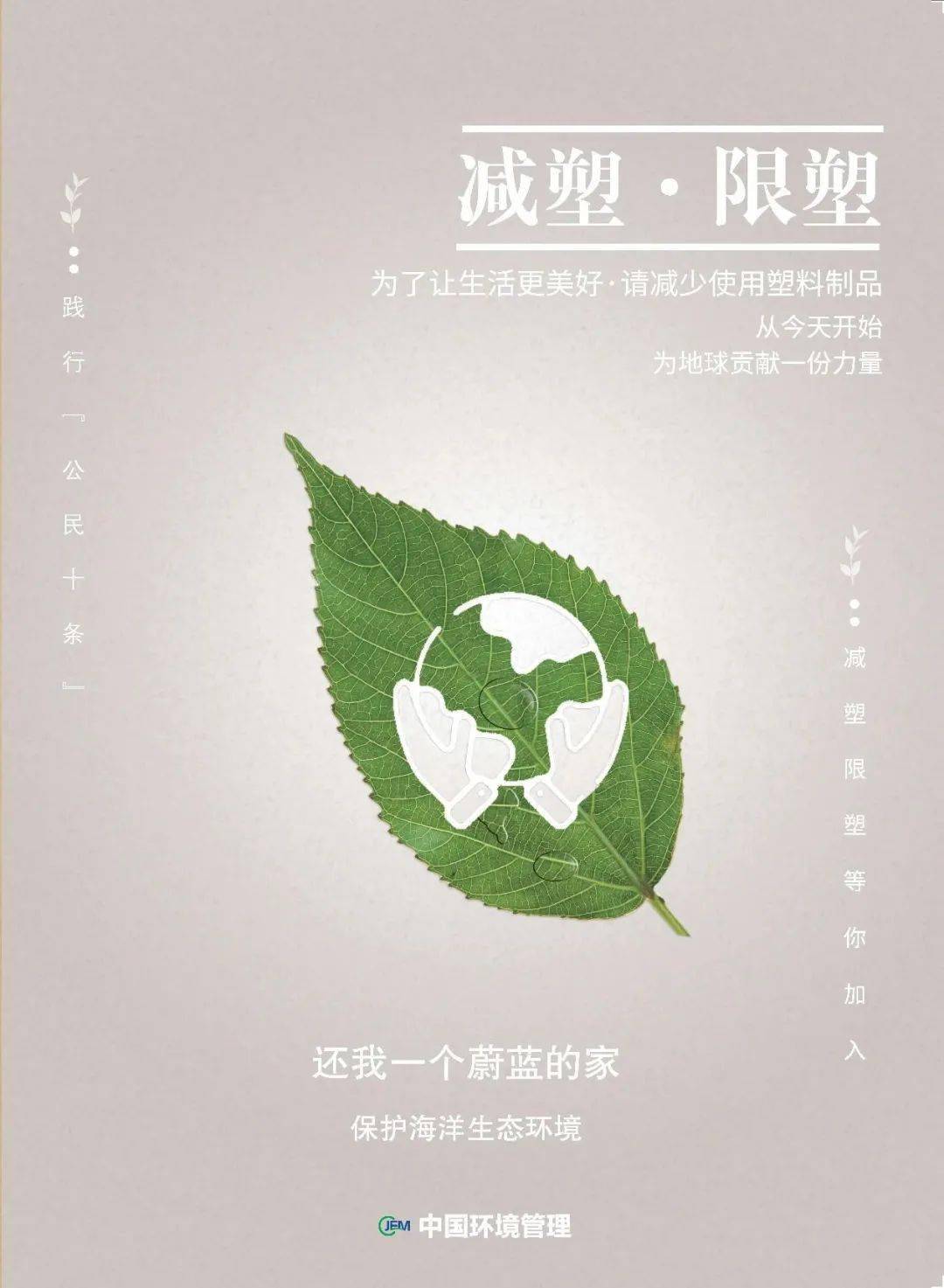 踐行綠色生活，食品包裝減少的重要性與行動(dòng)策略