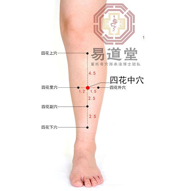 滄古煙 第14頁