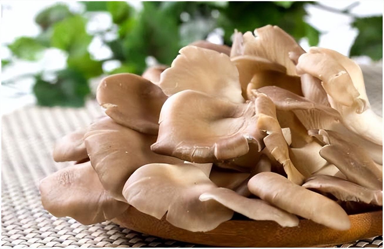 養(yǎng)生食譜，助力新陳代謝提升秘籍