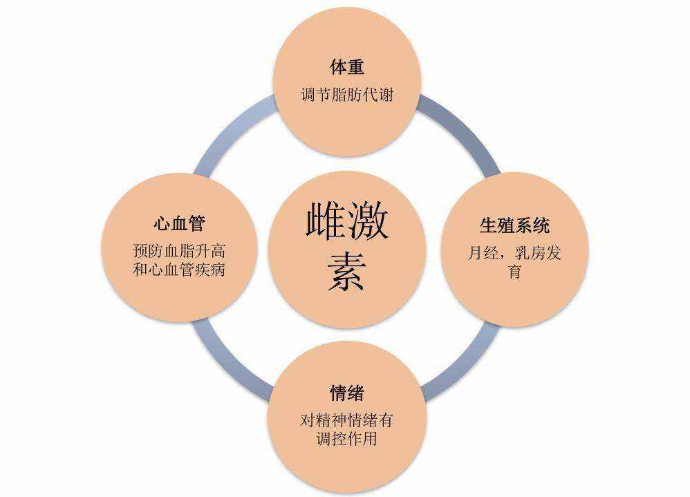 養(yǎng)生食譜，調(diào)節(jié)女性體內(nèi)激素平衡之道