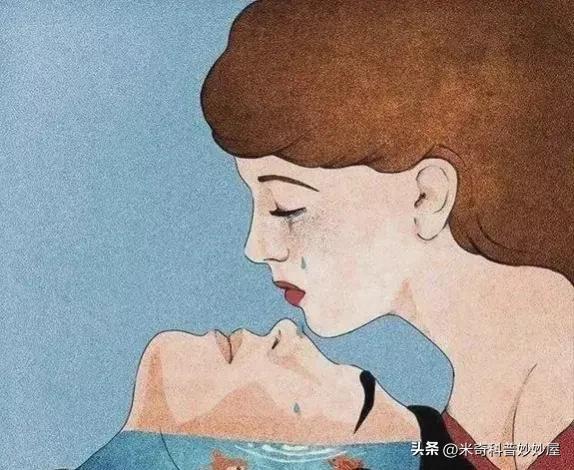 養(yǎng)生食譜，助力男性維持體力與健康的秘訣
