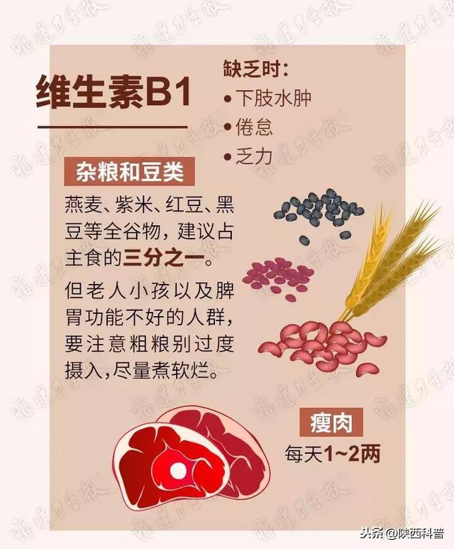 食療指南，如何通過(guò)飲食增加體內(nèi)維生素?cái)z入量的秘訣