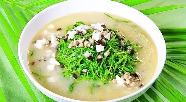 亞健康人群養(yǎng)生食譜推薦，健康飲食助你重拾活力