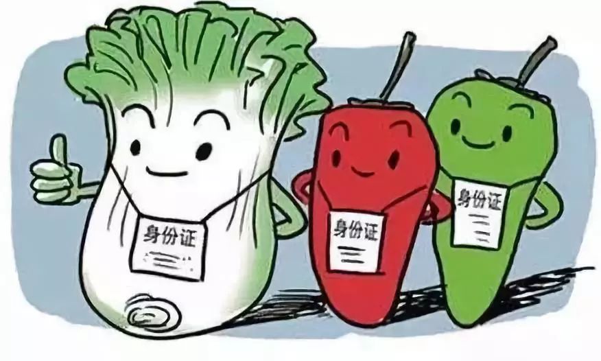 健康食品選擇指南，旅行中避免消化不良