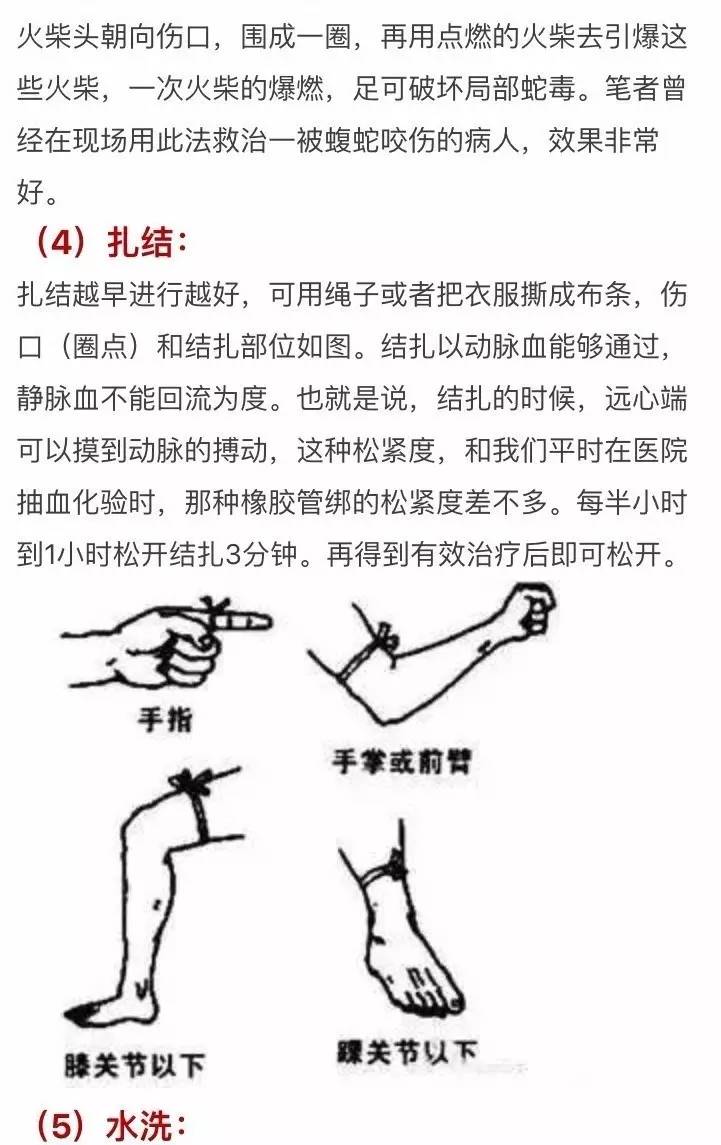 毒蛇咬傷應急處理與急救方法指南
