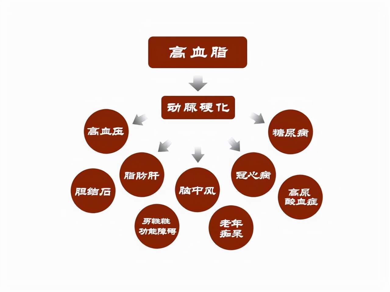 中醫(yī)預(yù)防高血脂的策略與實(shí)踐