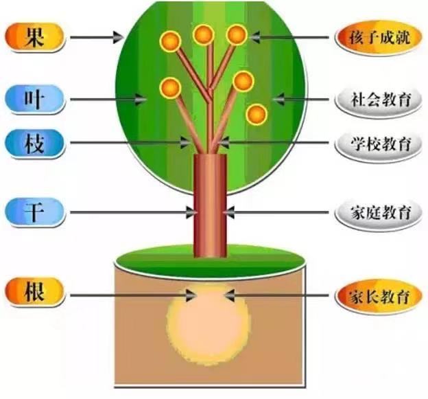 家庭教育與孩子社交能力的深度關(guān)聯(lián)，實(shí)踐策略探討