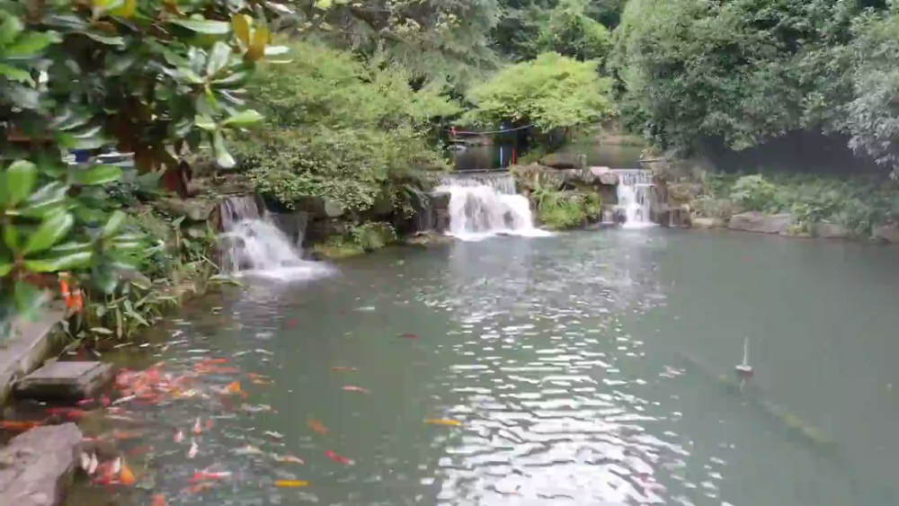 跨省旅游恢復(fù)與景區(qū)接待能力提升，旅游業(yè)復(fù)蘇在望之路