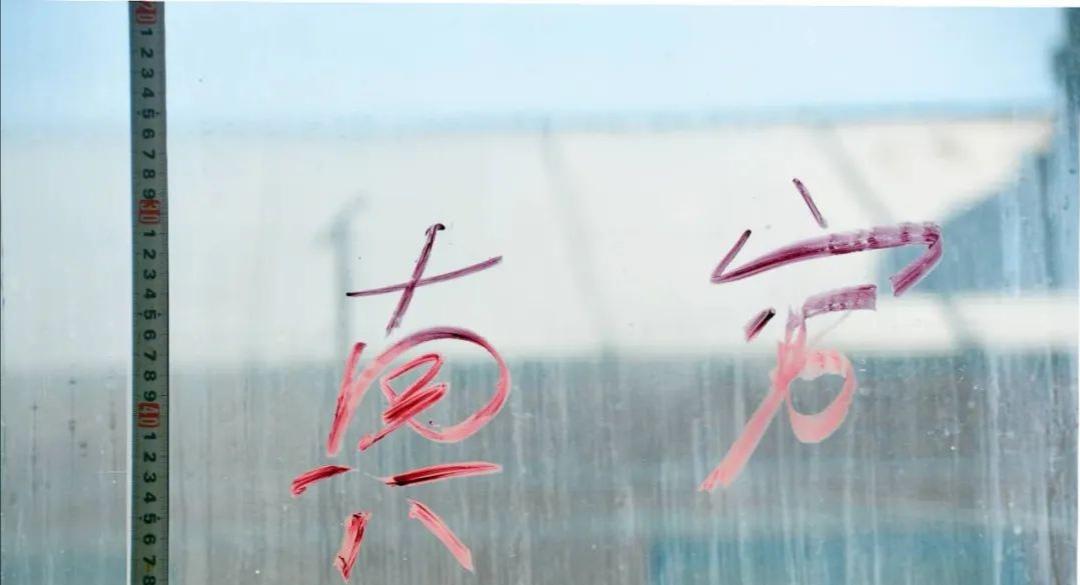 刑警揭秘，鶴崗大案真相浮出水面