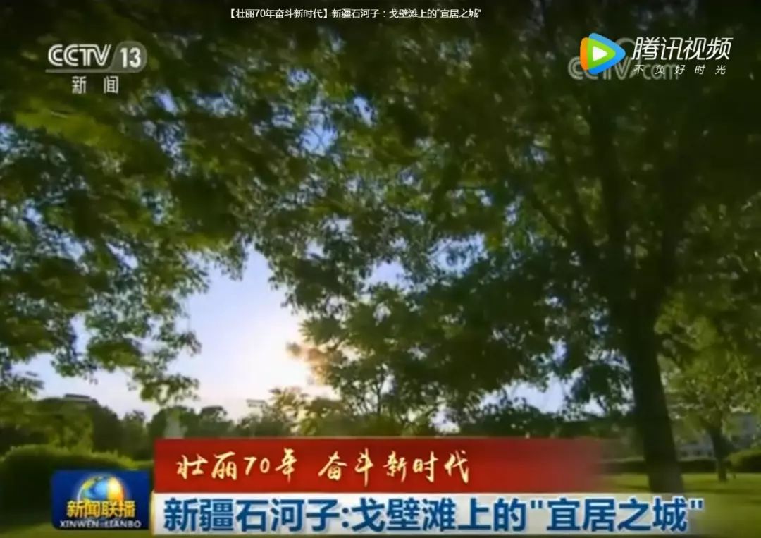梁慕橙 第11頁