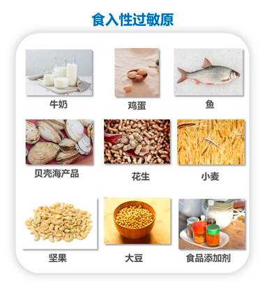 食物過敏反應(yīng)的快速識別與處理方法