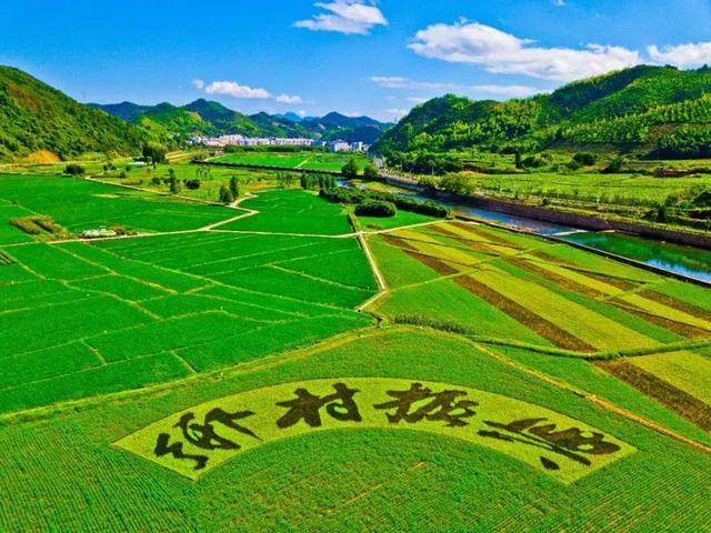 智慧農(nóng)業(yè)技術(shù)引領(lǐng)鄉(xiāng)村經(jīng)濟(jì)振興之路
