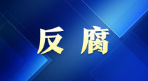 中文字幕無碼免費久久,模塊系統(tǒng)精準升級_未來版89.39.25