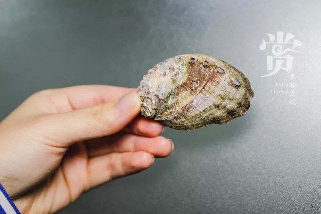 沉默的熊 第6頁