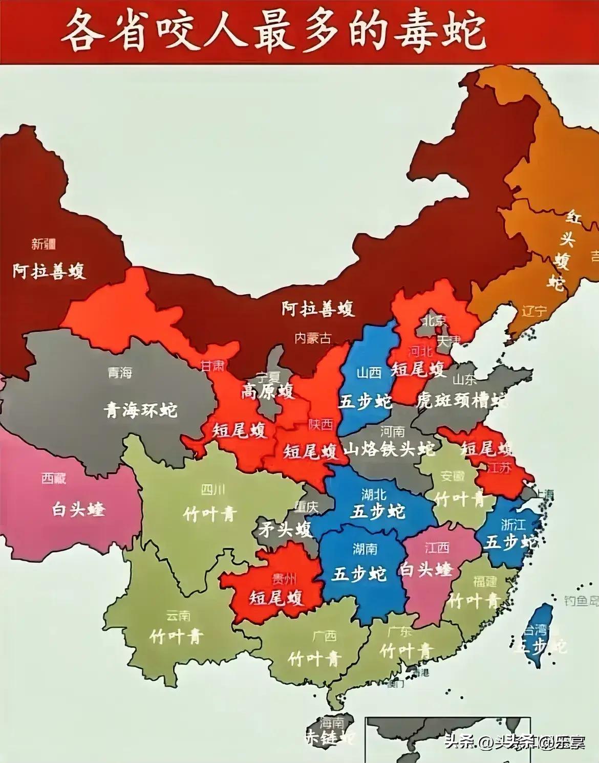 國產(chǎn)一線二線三線女,全程掌控策略升級_星銳版74.76.33