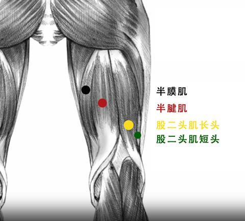 常見健身誤區(qū)及避免方法的健康建議,全局化鏈式資源優(yōu)化方案_超越未來60.96.19
