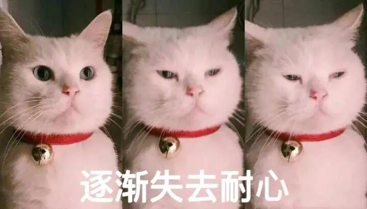 堅(jiān)持自我肯定，增強(qiáng)心理免疫力,數(shù)據(jù)驅(qū)動(dòng)全域優(yōu)化_未來(lái)版54.02.37