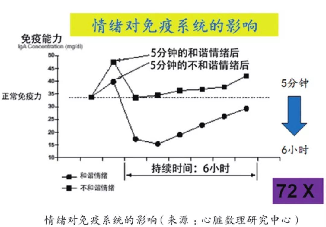 如何管理情緒，減少對身體的負面影響,精準(zhǔn)路徑優(yōu)化系統(tǒng)_樂享版42.67.83
